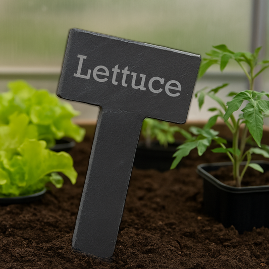 Personalised Square Slate Plant Signs | Garden Tags & Labels for Flowers, Herbs, Vegetables | Pack of 6